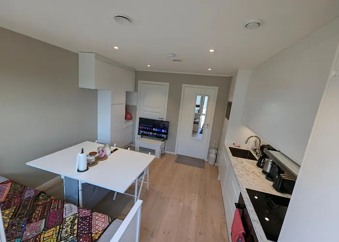 Nordlys Family - Bodo Myklebostad (Bodo)